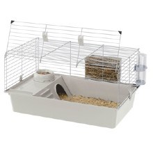guinea pigs cage  820 (1)